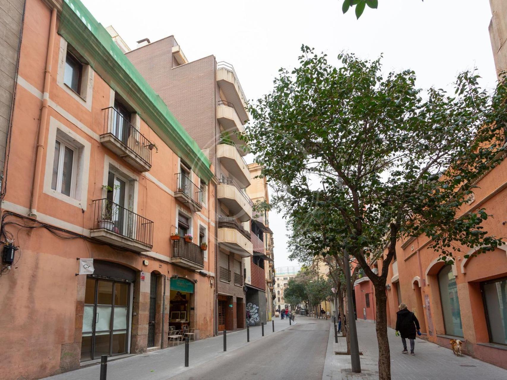 Bonito Apartamento En Gracia Barcelona Exteriör bild